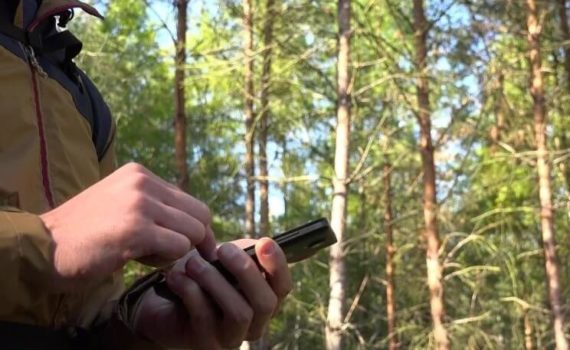 Мобильные приложения для грибников: как не заблудиться в лесу