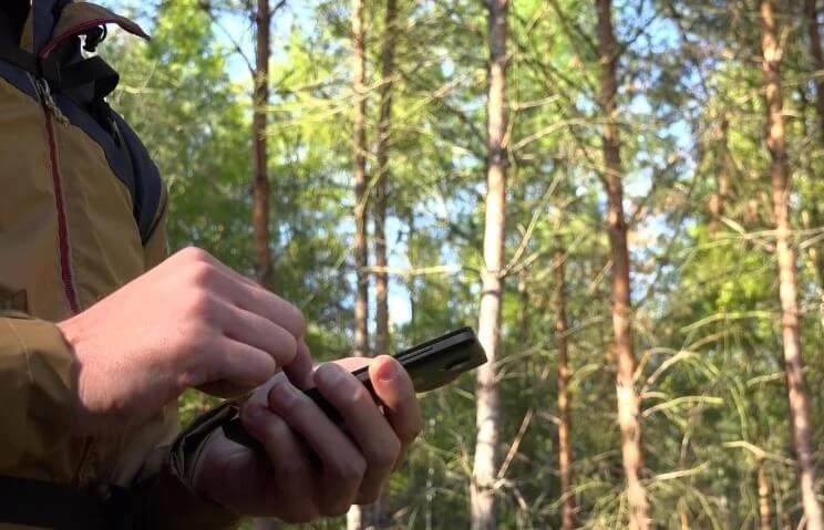 Мобильные приложения для грибников: как не заблудиться в лесу