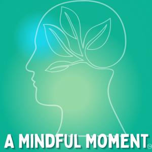 Контролируйте свое психическое здоровье с мобильным приложением Mindful Moments
