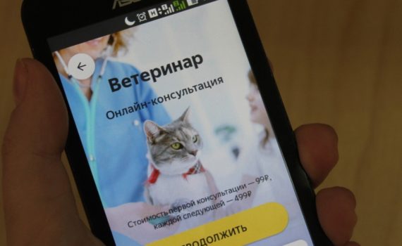 Создание мобильного приложения для ветеринарной клиники